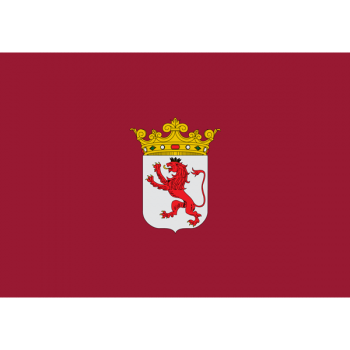 Bandera Leon
